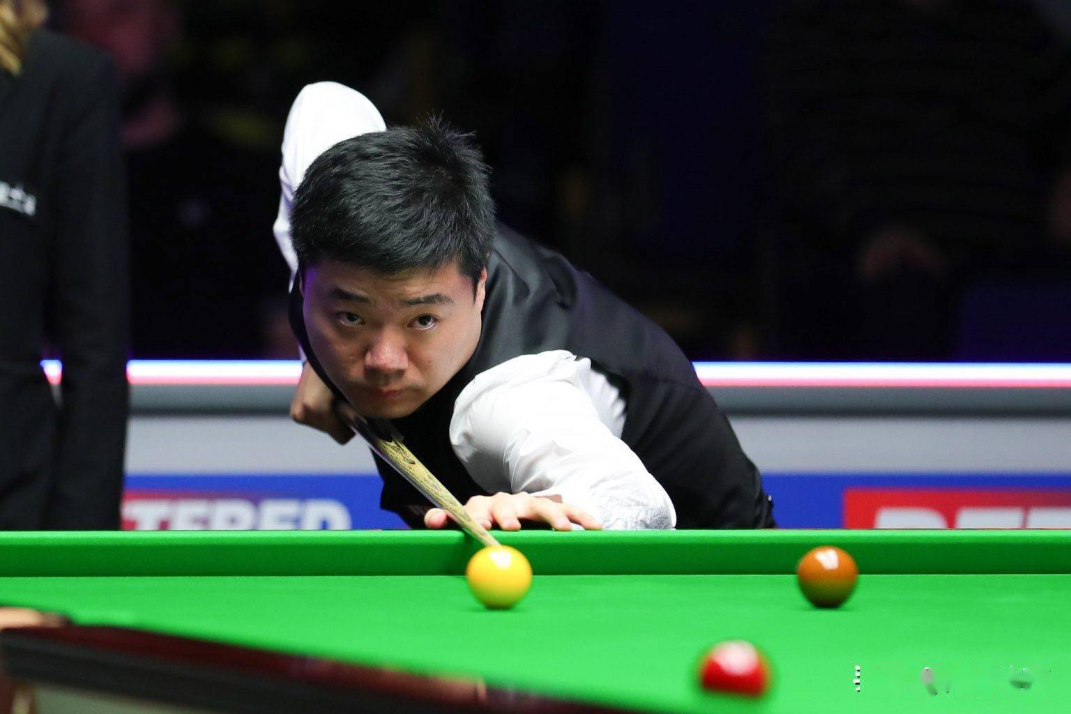 为适应新环 为适应新环